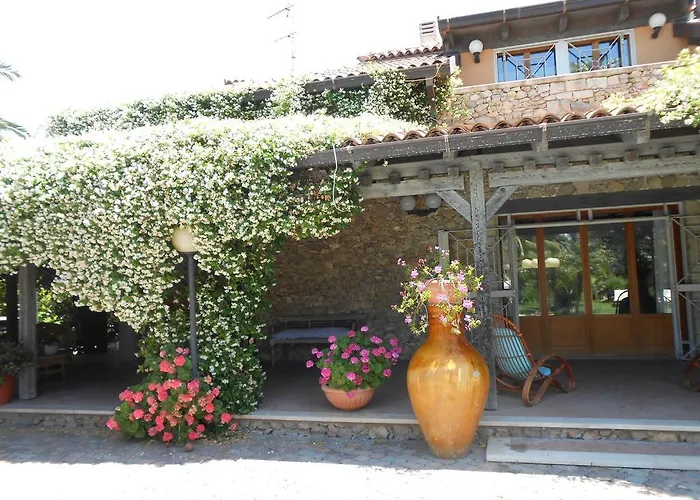 All'ombra Del Palmeto