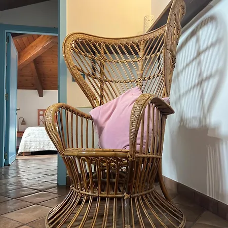Bed & Breakfast All'ombra Del Palmeto